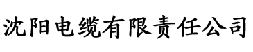 今天美人师尊哭了吗电缆厂logo